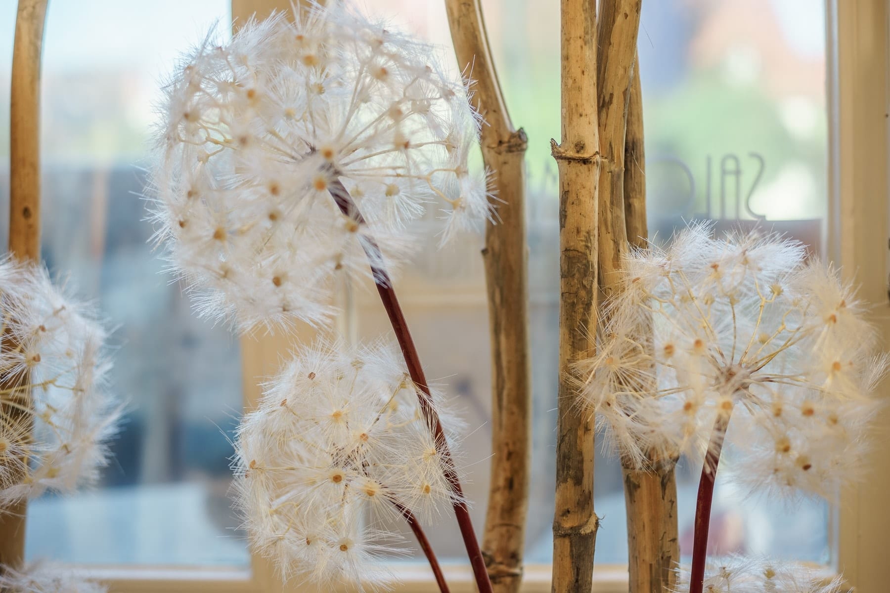 Salon Marita - Fotos der Geschäftsräume