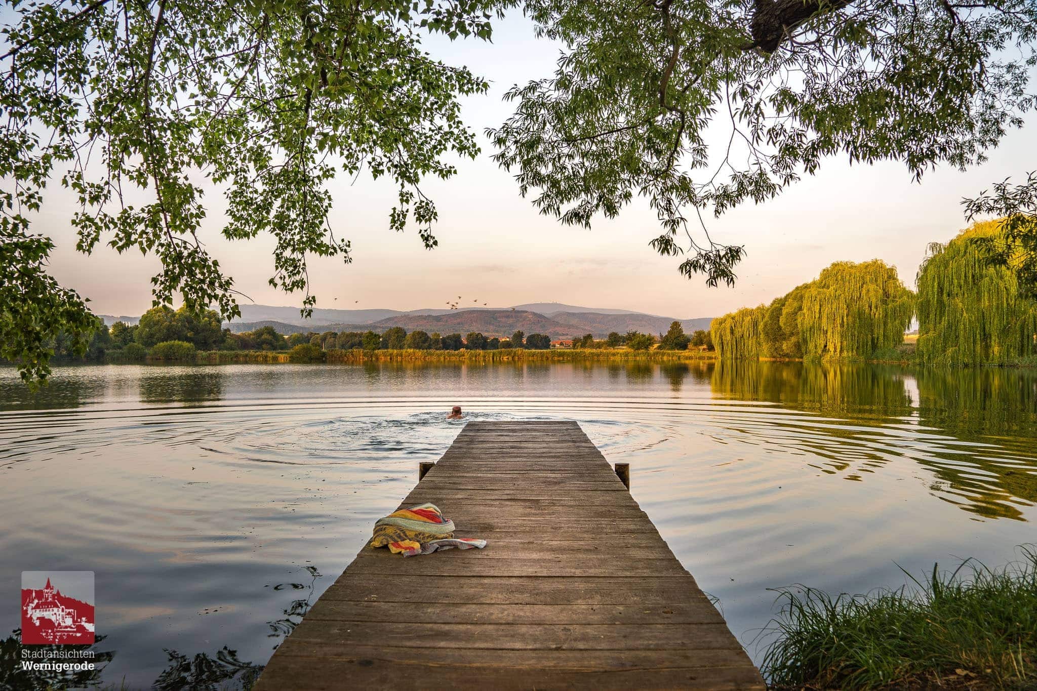 Reddeberteich in Wernigerode