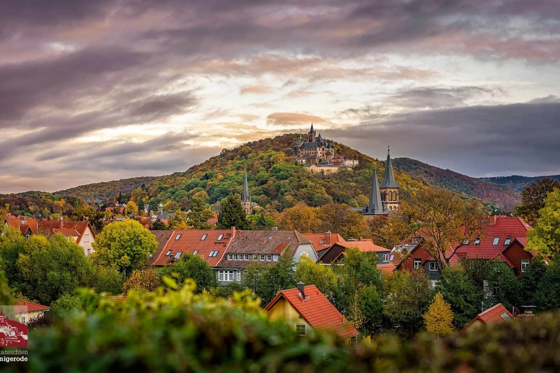 Wernigeröder Stadtpanorama