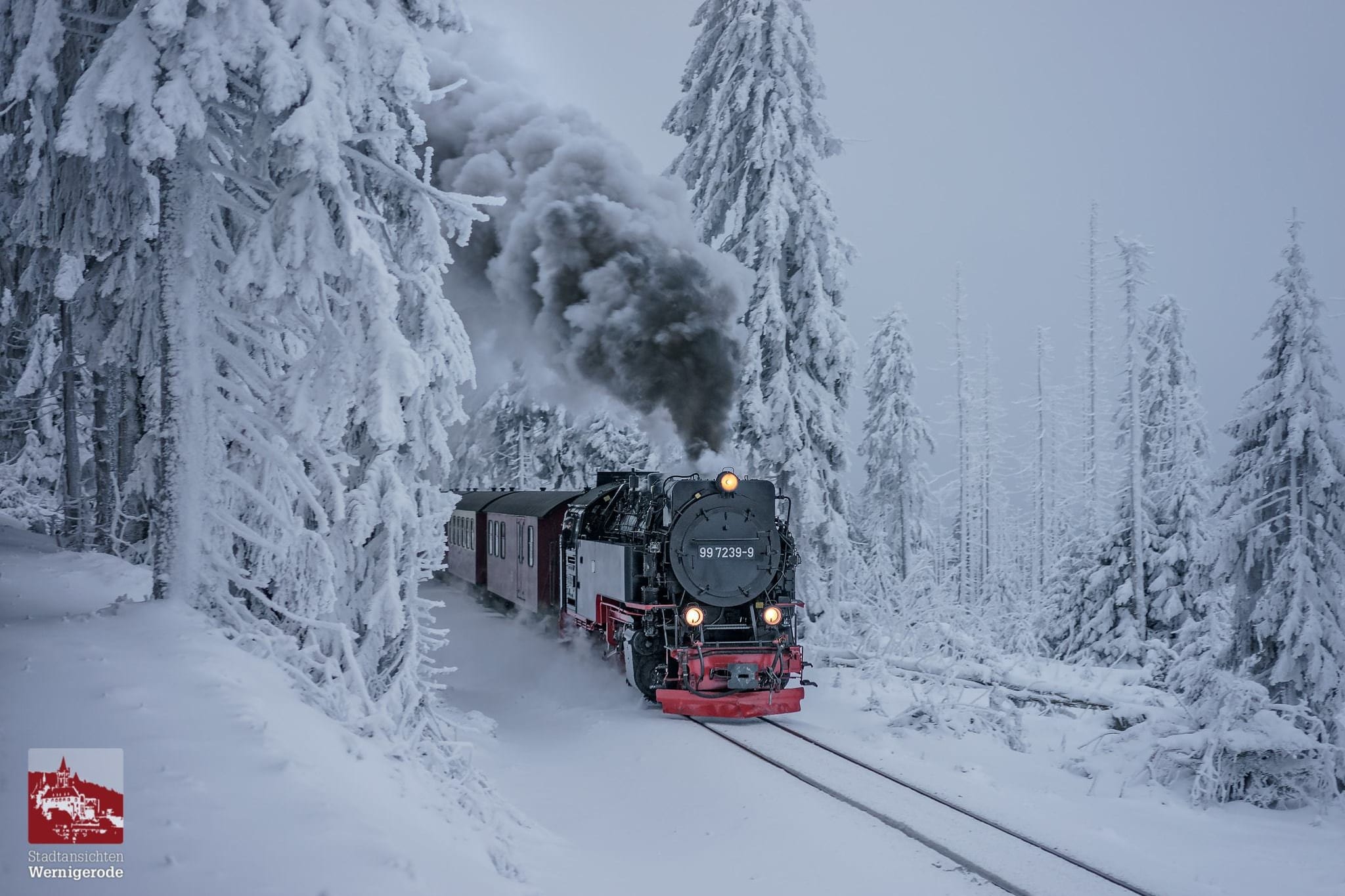 Harzer Schmalspurbahn auf dem Weg zum Brocken