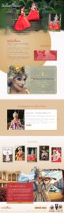 Website Violins of Venice – Gesamtansicht